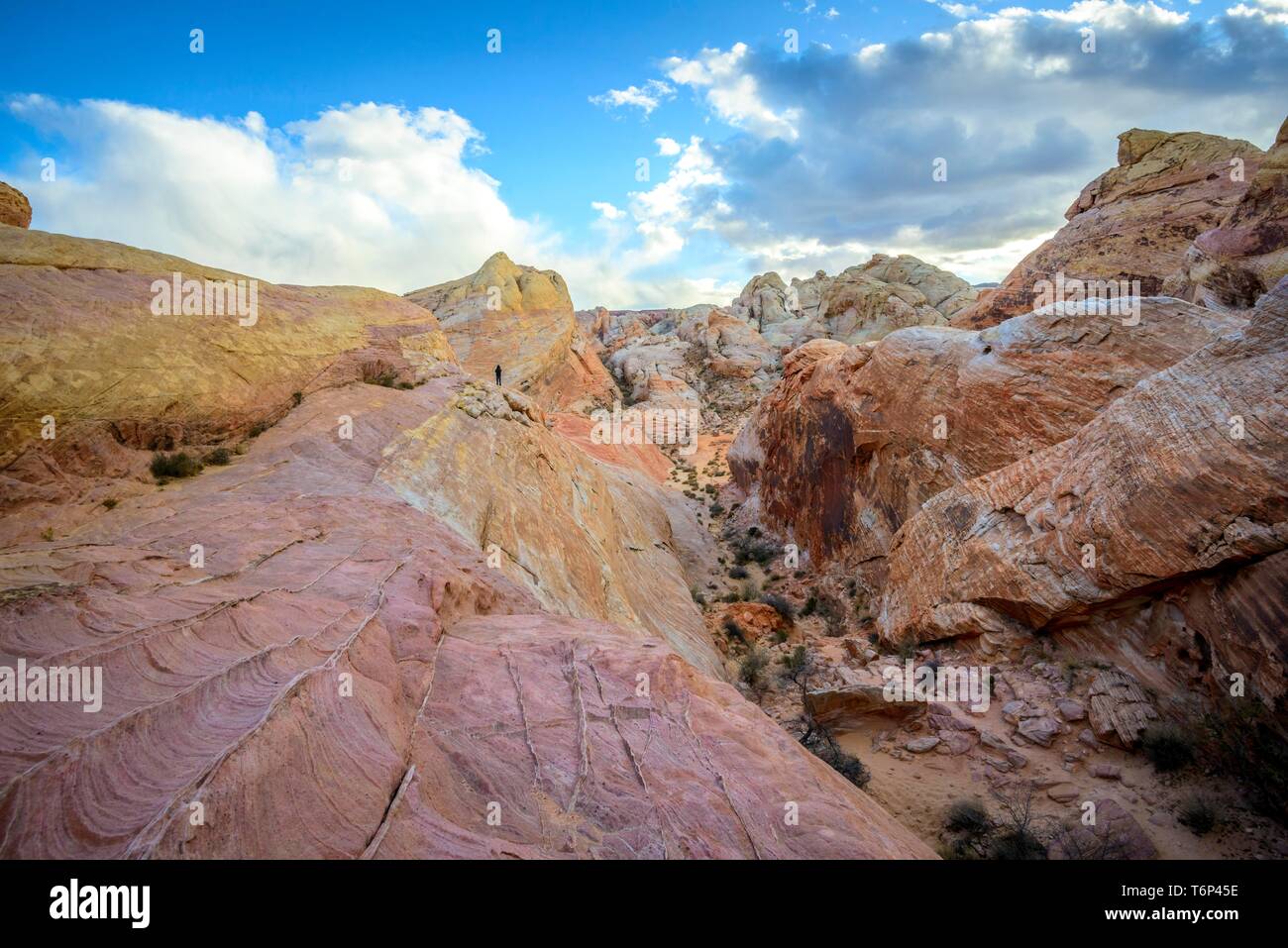 Colorful, Red Orange Rock Formations, Sandstone Rock, Hiking Trail, White Dome Trail, Valley of Fire State Park, Mojave Desert, Nevada, USA Stock Photo