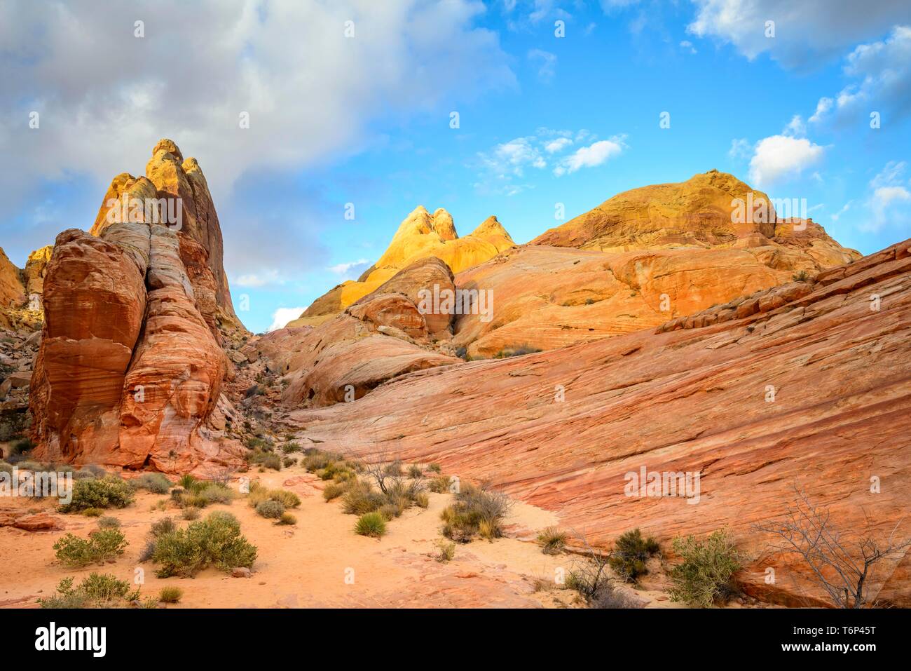 Colorful, Red Orange Rock Formations, Sandstone Rock, Hiking Trail, White Dome Trail, Valley of Fire State Park, Mojave Desert, Nevada, USA Stock Photo