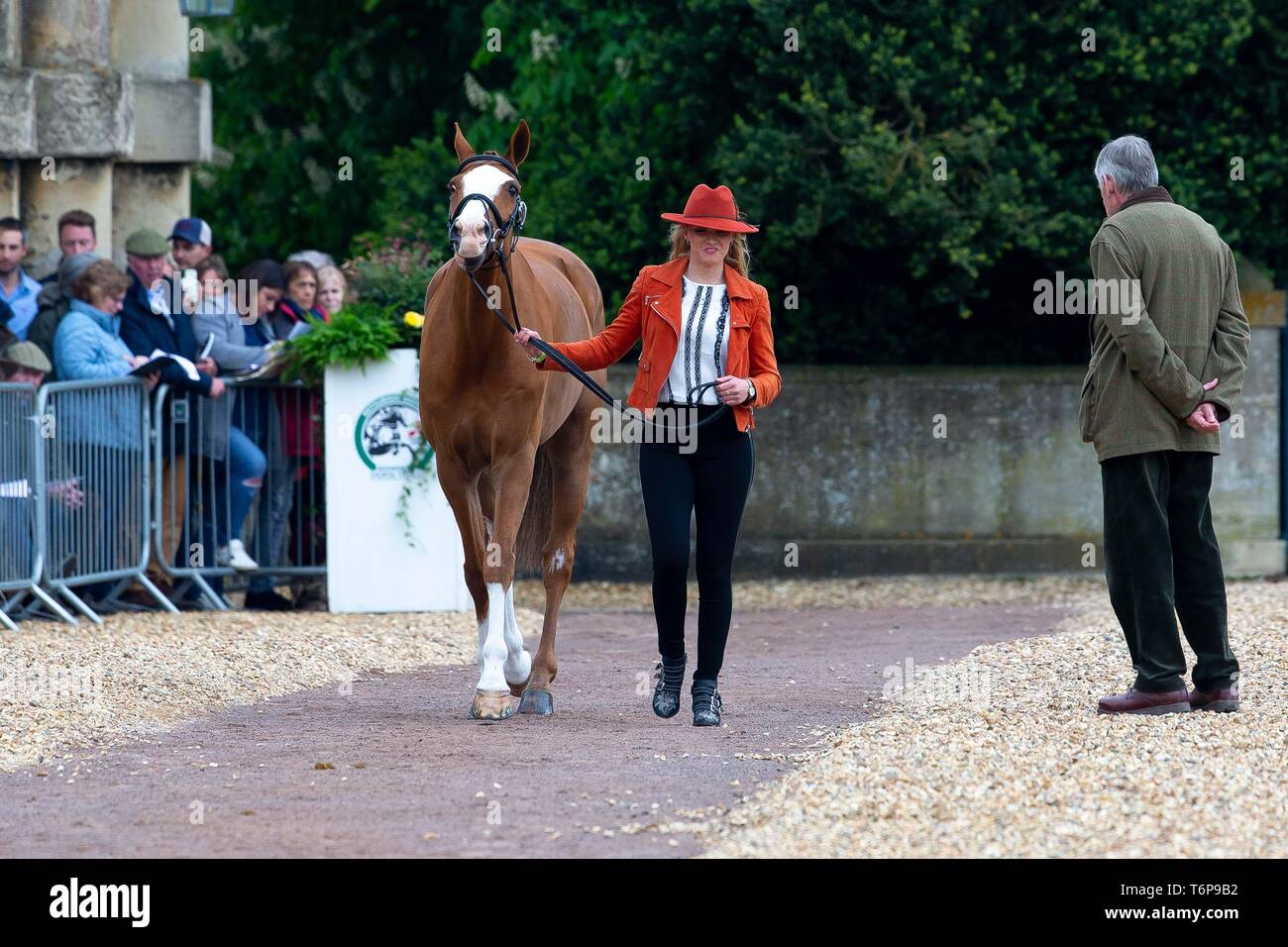 Badminton, Gloucestershire, UK. 02nd May, 2019. Emily King. GBR. Dargun. Trot Up. Mitsubishi Motors Badminton Horse Trials. Rolex Grand Slam Event. Horse Trials. Eventing. Badminton. Gloucestershire. United Kingdom. GBR. {01}/{05}/{2019}. Credit: Sport In Pictures/Alamy Live News Stock Photo