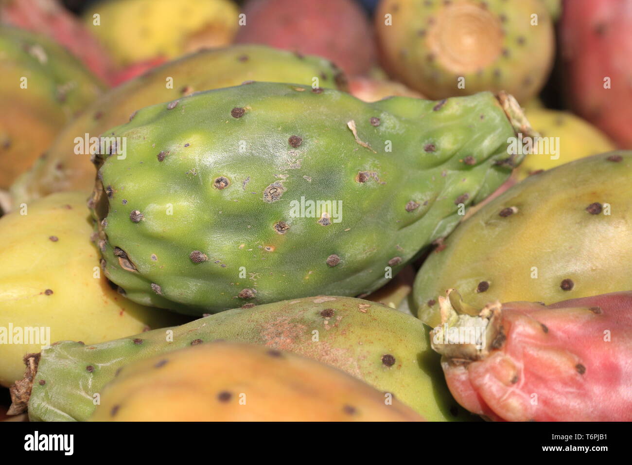 Prickly pears Stock Photo