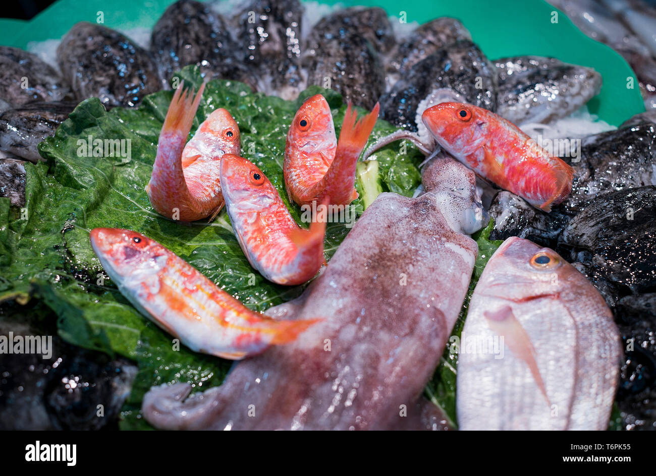 Red mullet. Pineda de Mar. Barcelona. Catalunya. Spain Stock Photo