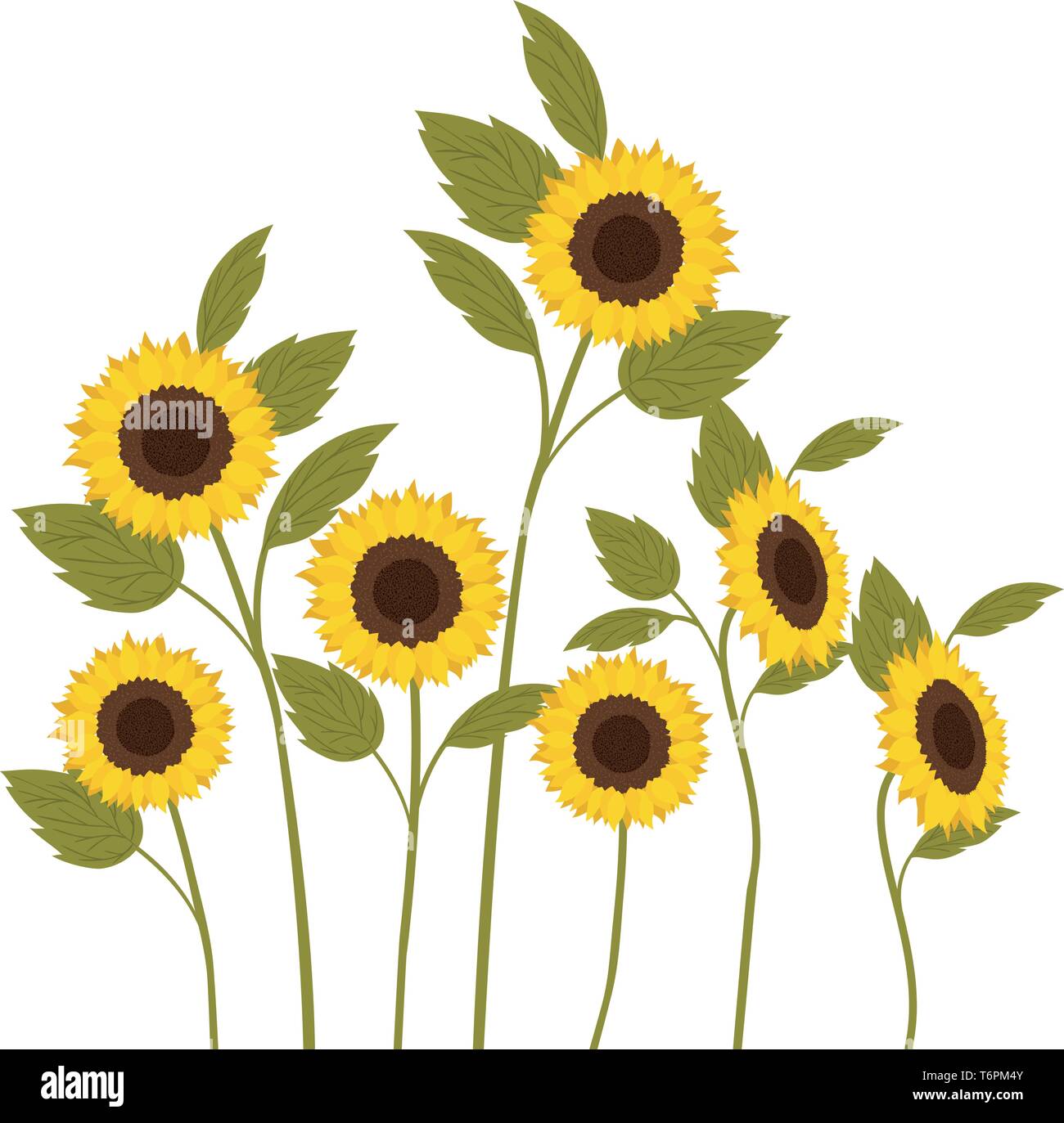 pattern of sunflowers isolated icon Stock Vector Image & Art - Alamy