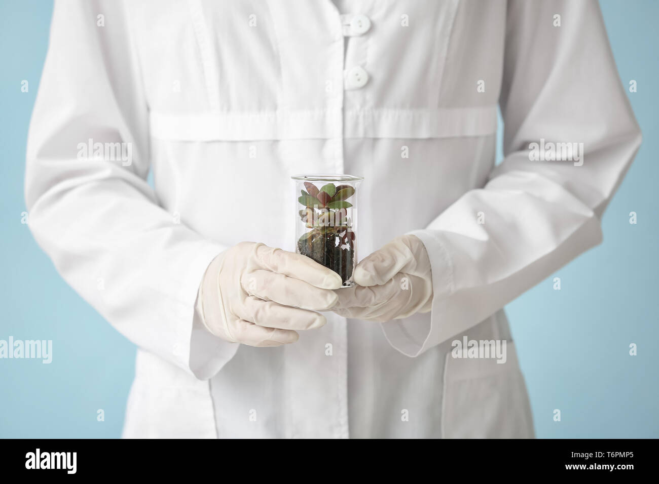 Scientist holding flask with plant on color background Stock Photo - Alamy