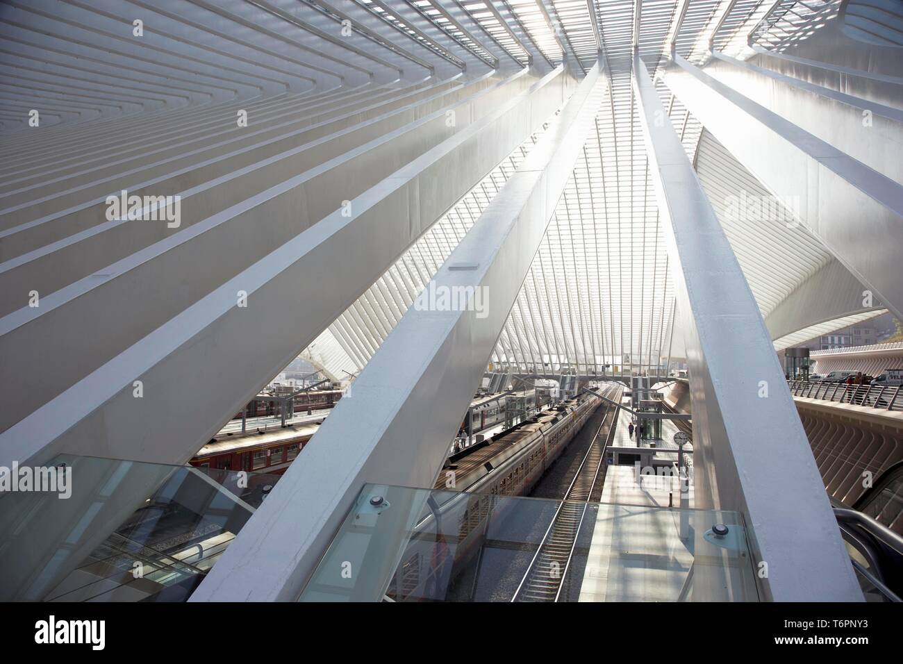 Gare de LiegeGuillemins train station by architect Santiago Calatrava