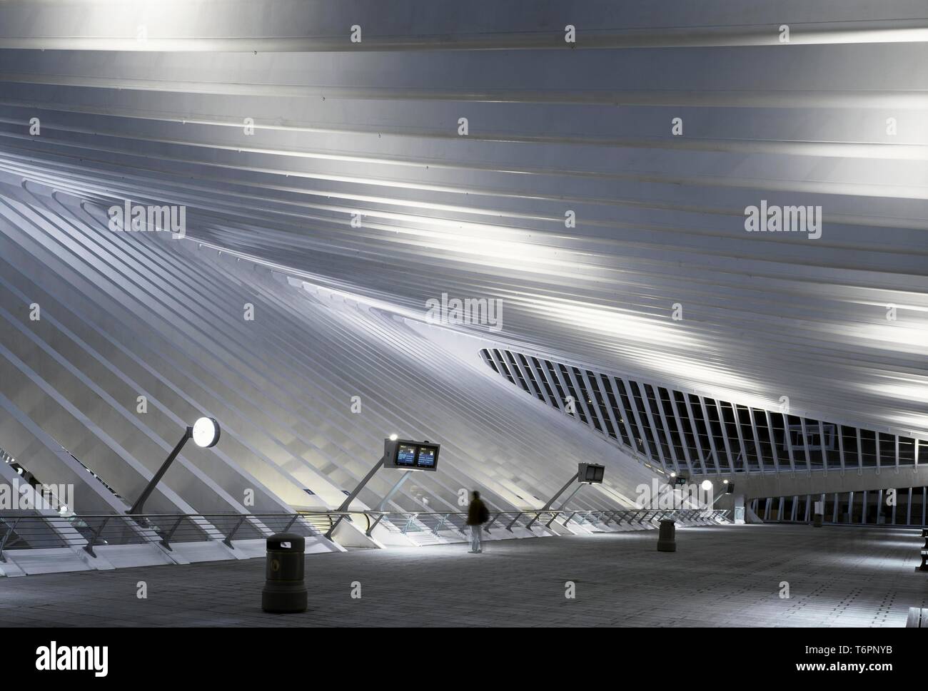 Gare de LiegeGuillemins train station by architect Santiago Calatrava