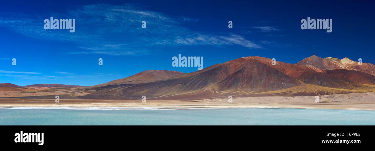 Laguna Tuyajto, Atacama, San Pedro de Atacama, Chile, South America Stock Photo