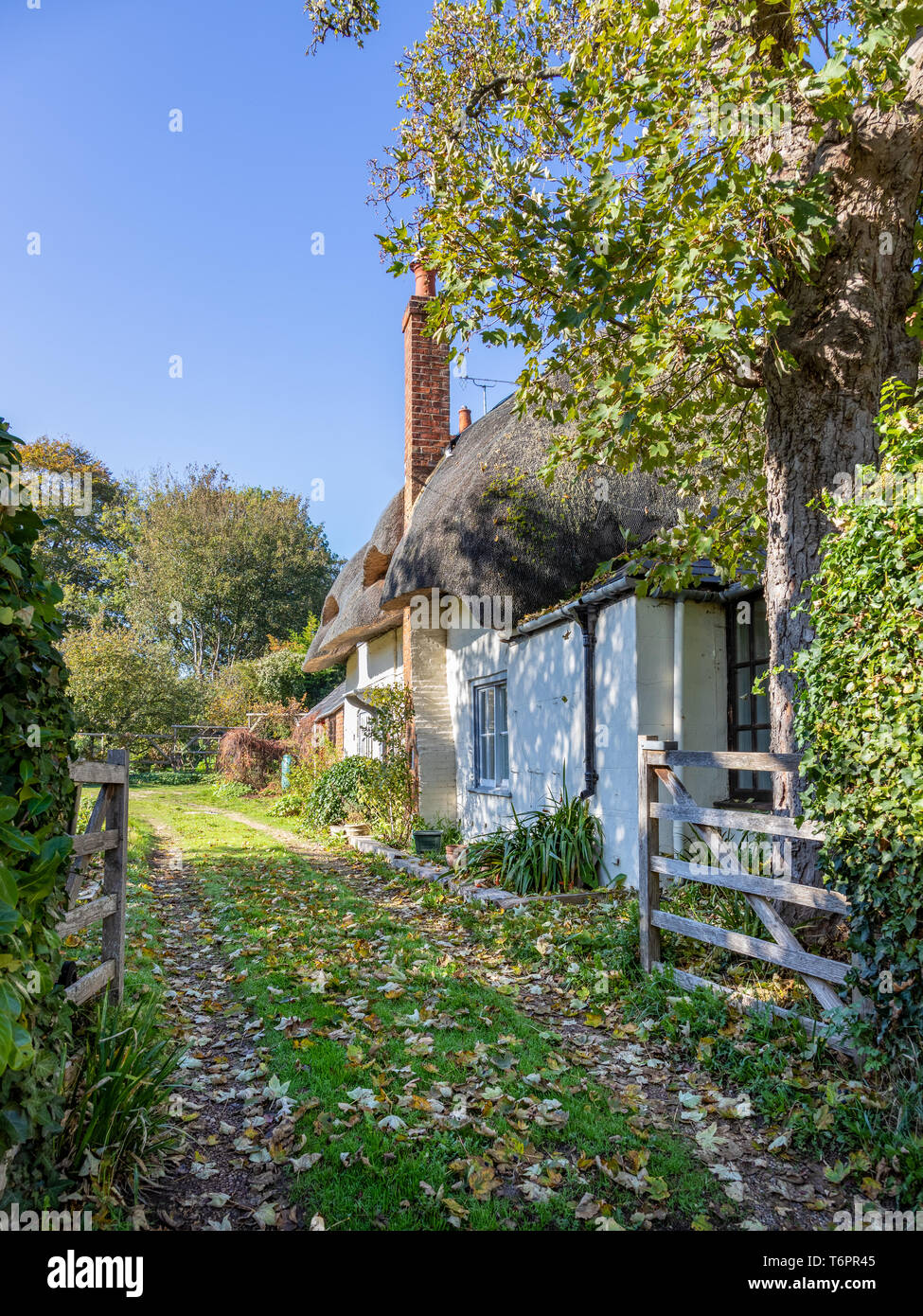 House in Cholsey, South Oxfordshire, England, UK Stock Photo Alamy