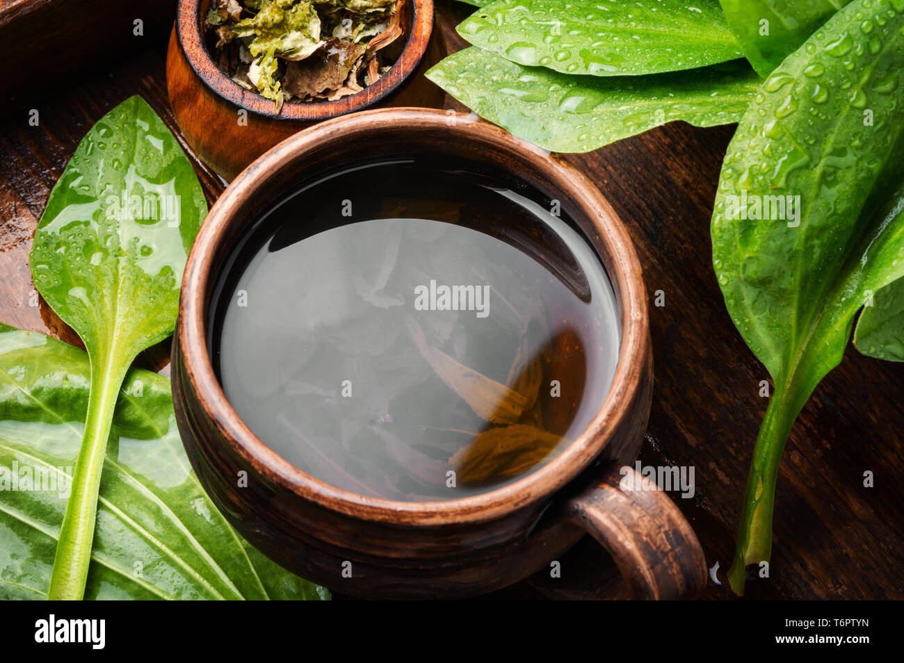 Herbal tea and herbs.Homemade homeopathic tea from plantain Stock Photo