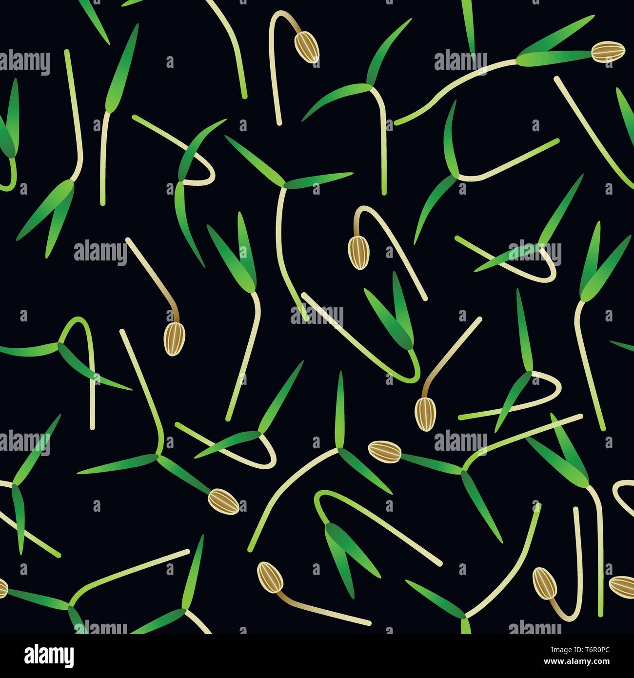 Young dill plant Stock Vector Images - Alamy