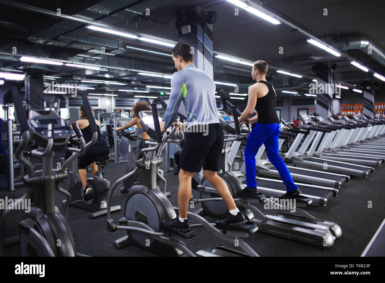 Bodybuilder machines hi-res stock photography and images - Alamy