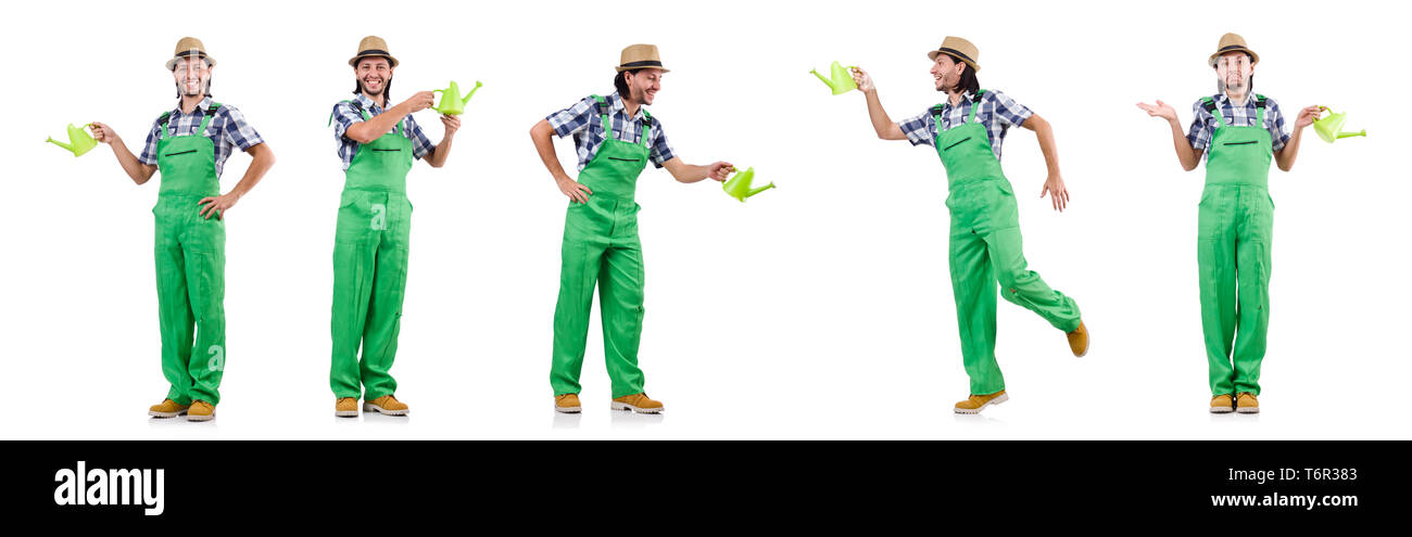 Young cheerful gardener with watering can isolated on white Stock Photo ...