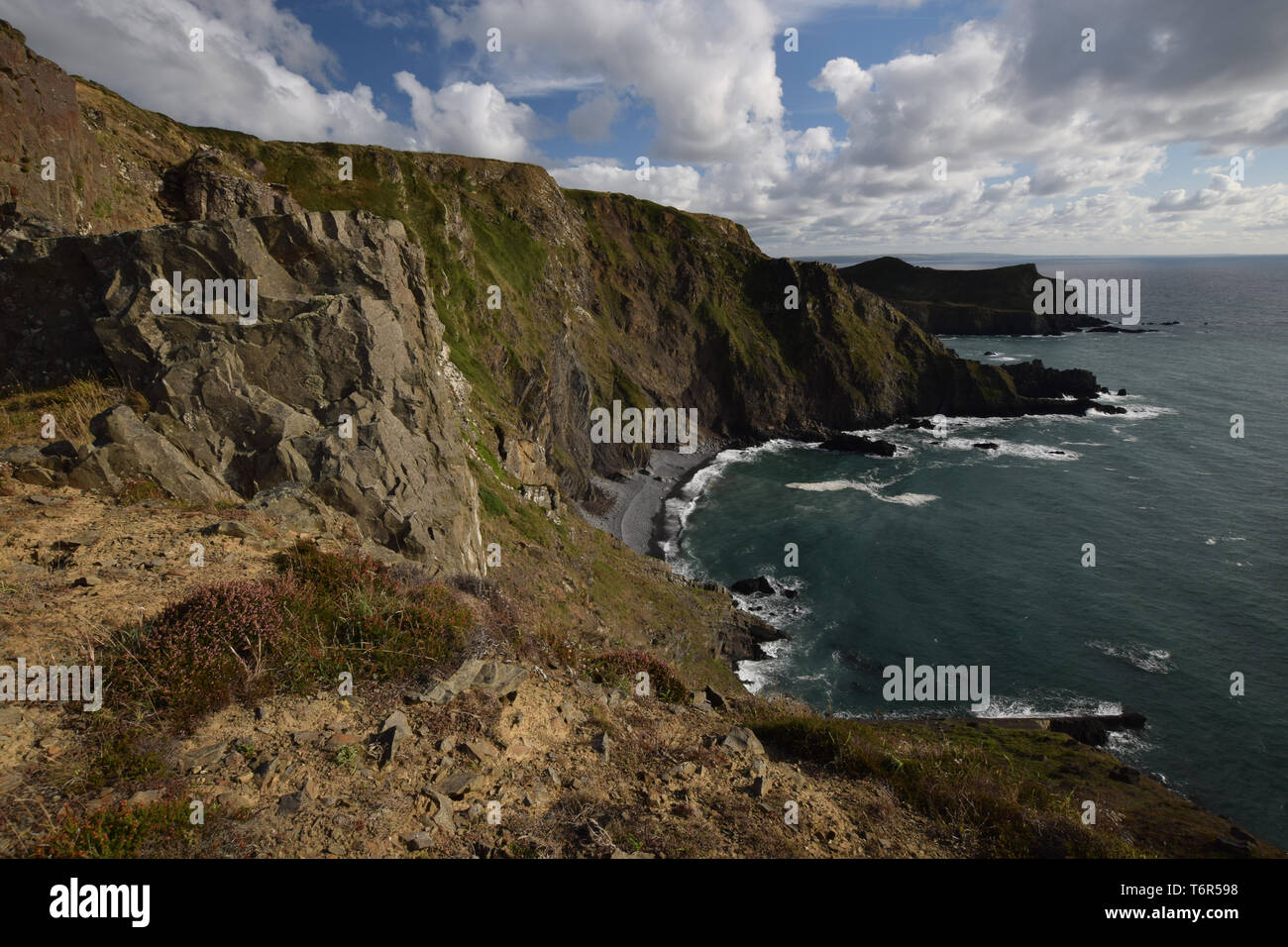 Cliffs near Morwenstow Cornwall Stock Photo