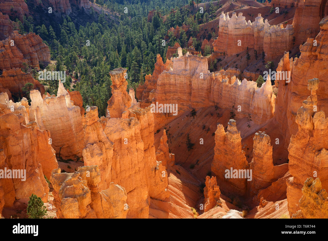 View over Bryce Canyon National Park, Utah, USA Stock Photo