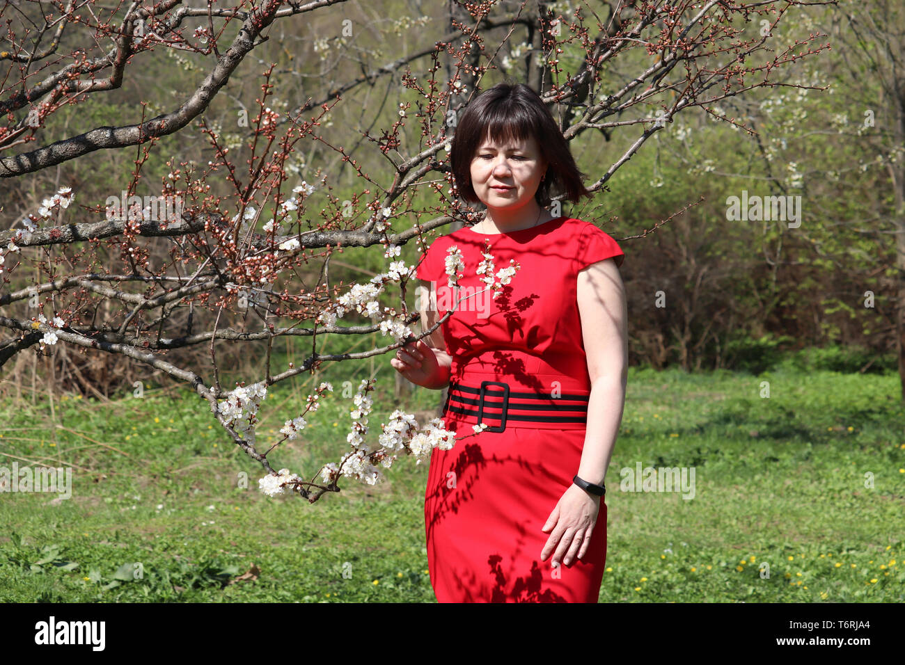 Cherry blossom in spring garden. Happy woman in red dress stands near the sakura tree and smells the flowers Stock Photo
