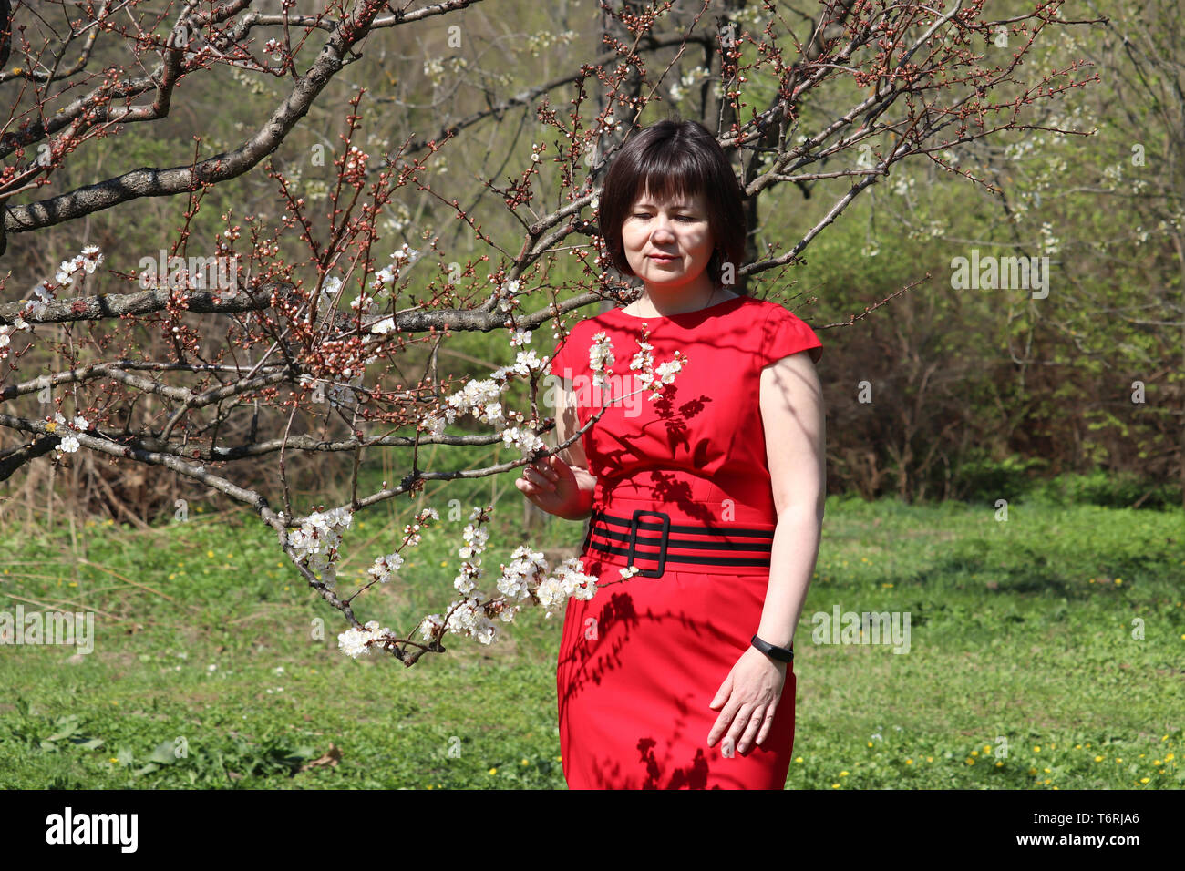 Dreaming woman in red dress enjoys the spring standing near the sakura tree. Cherry blossom in sunny japanese garden Stock Photo