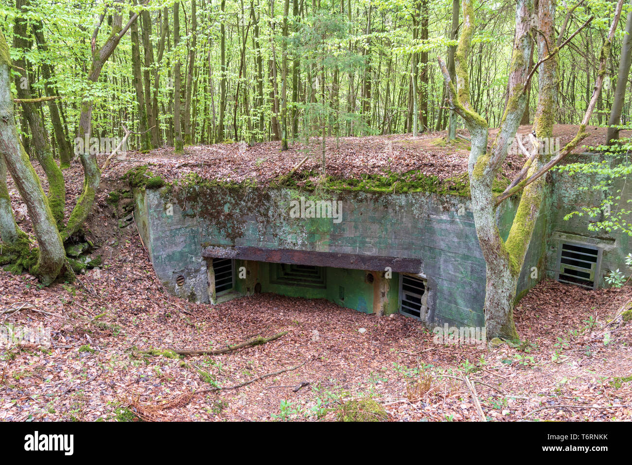 Siegfried line german bunker in hires stock photography and images Alamy
