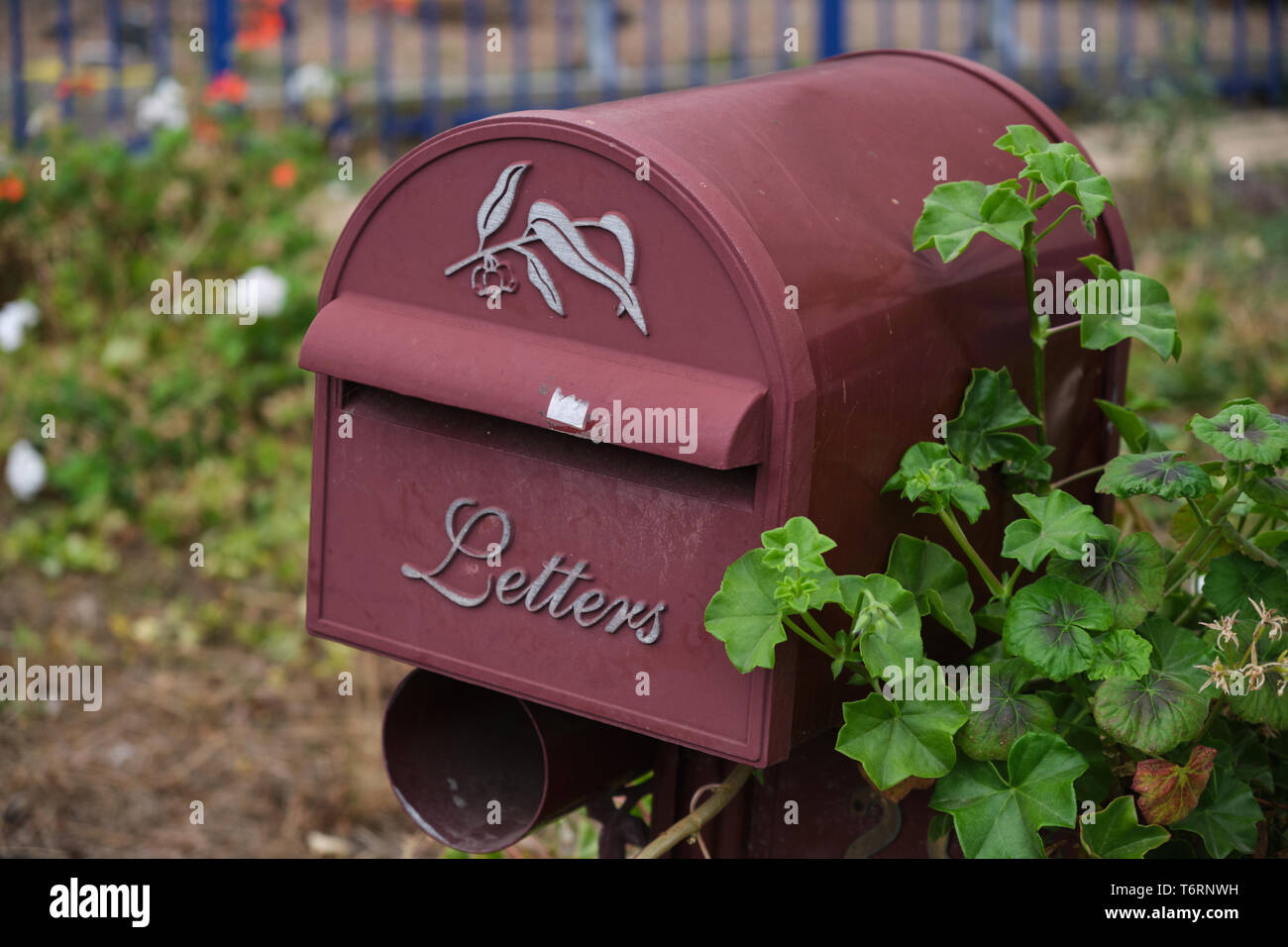 Purple mail box / letter box marked with 'Letters' on front with green leaves in foreground and flower bushes in background Stock Photo