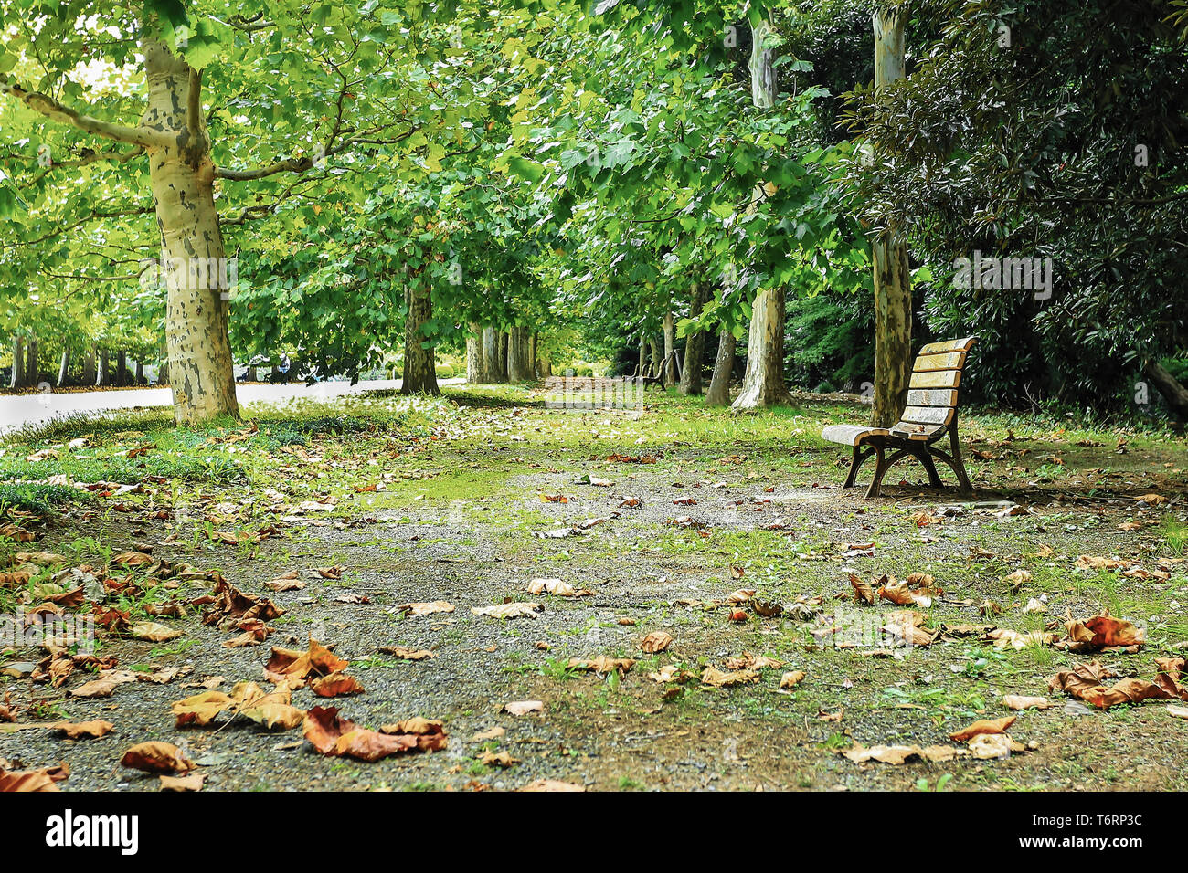 The Empty Bench Stock Photo