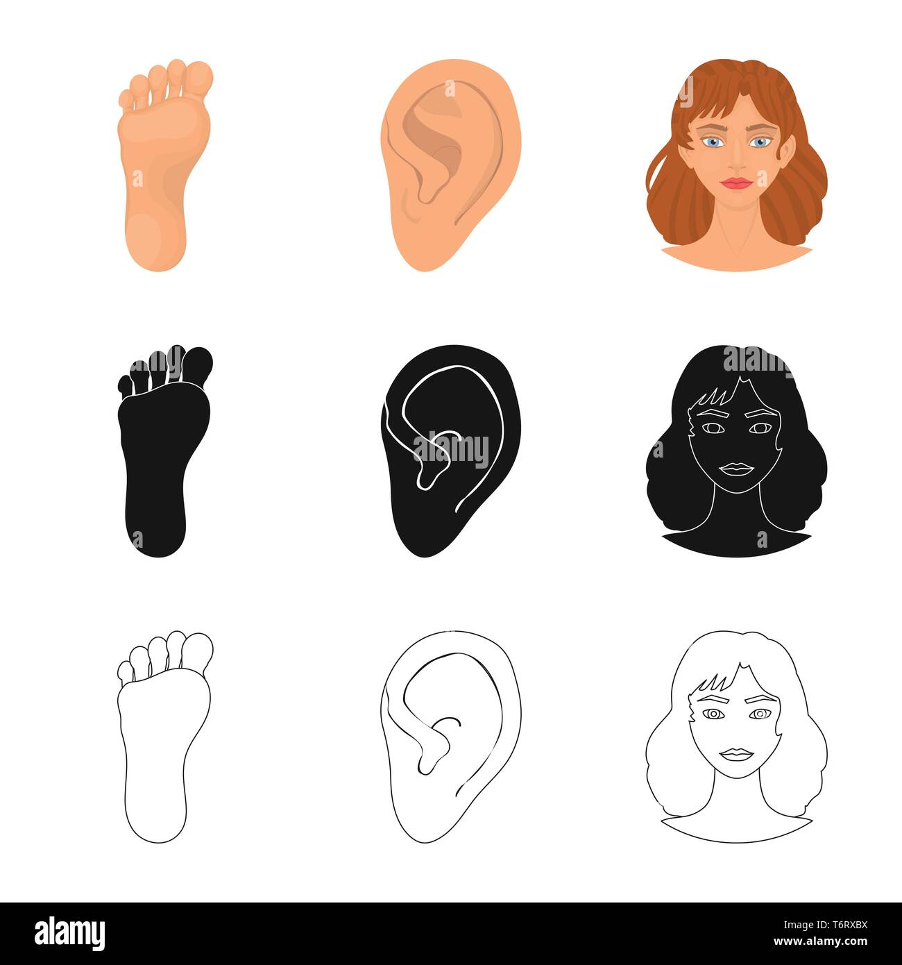 Isolated object of body and part symbol. Set of body and anatomy stock ...