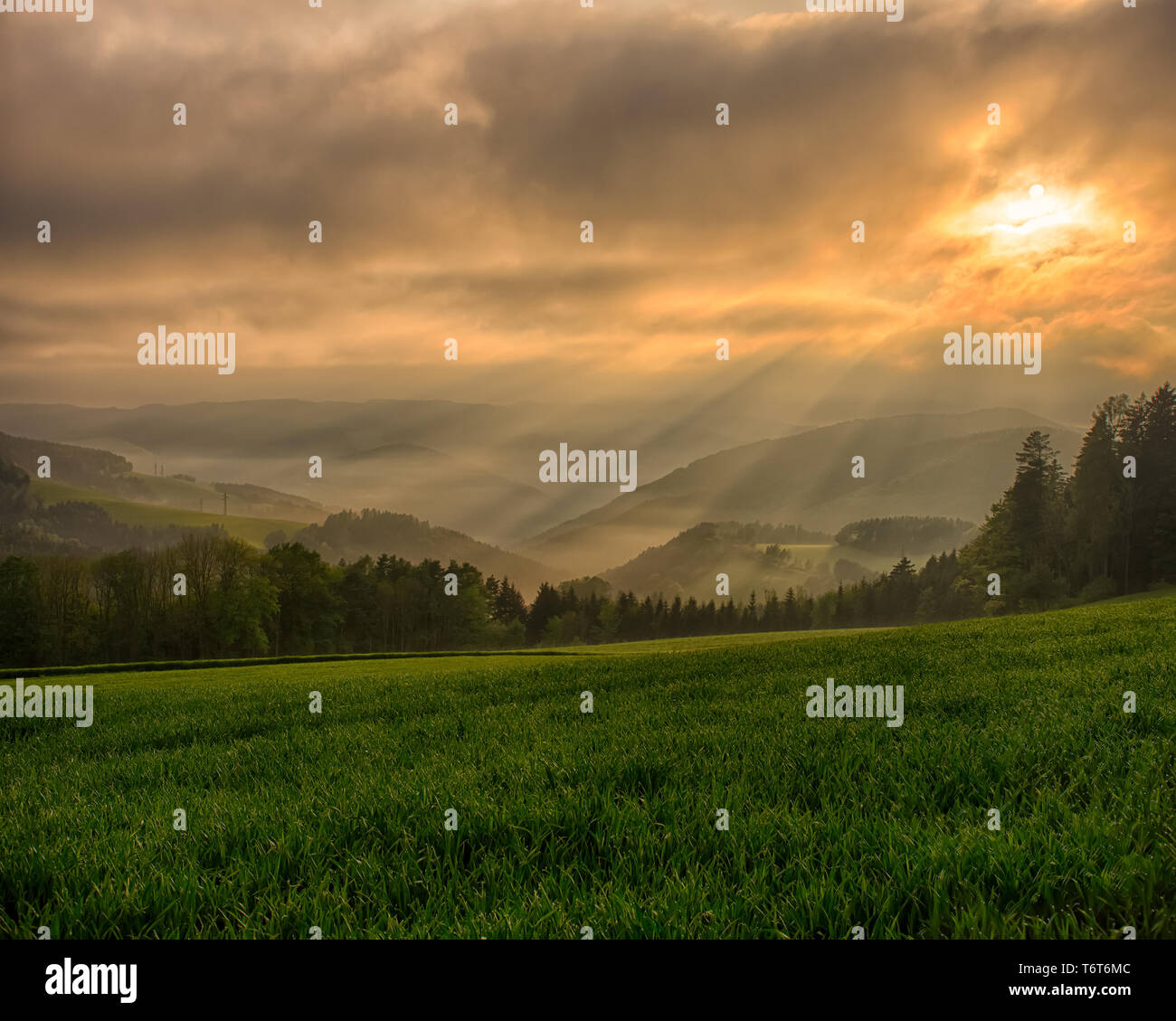 Vintage Countryside Epic Spring Sunrise Fog Hills Fields Trees