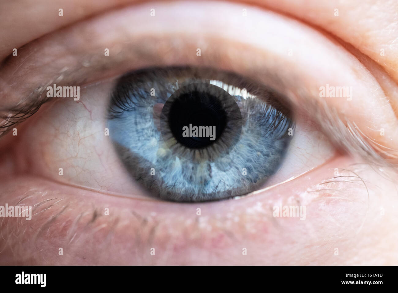 Macro image of human eye Stock Photo - Alamy
