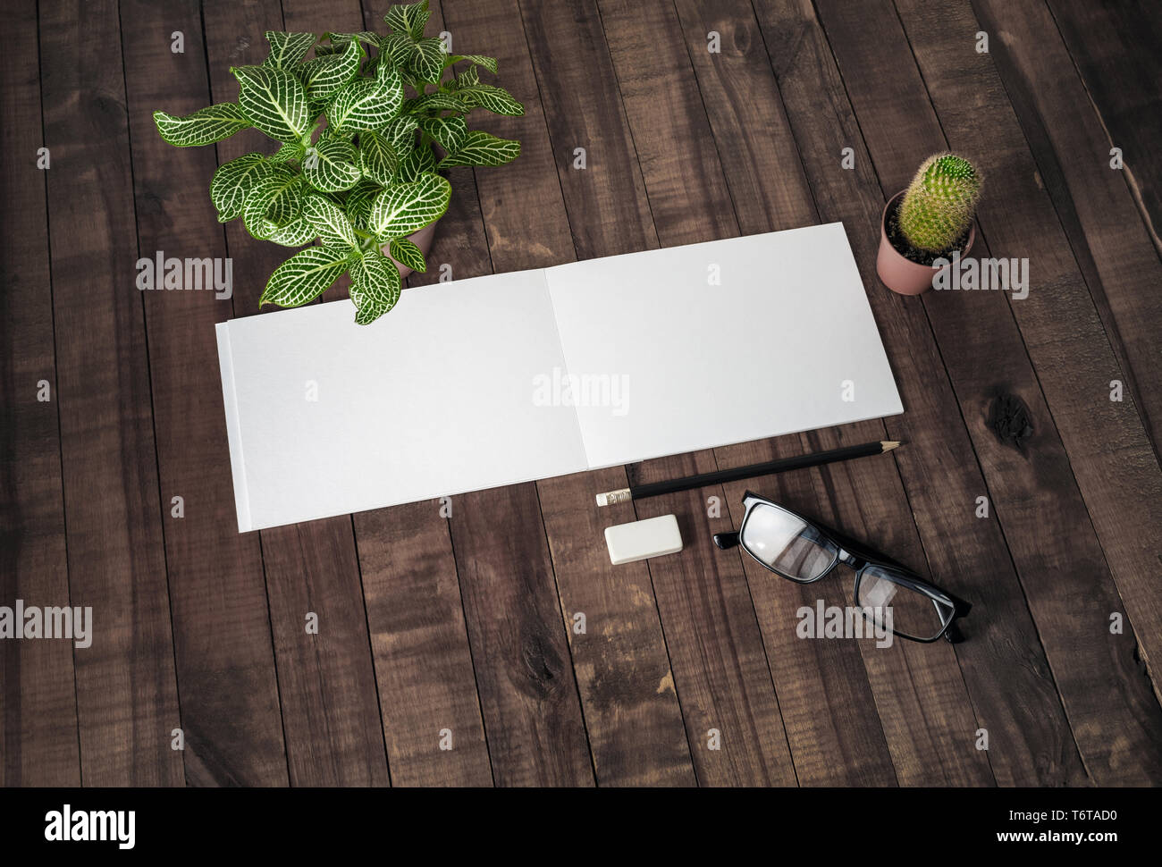 Notebook, plants and stationery Stock Photo