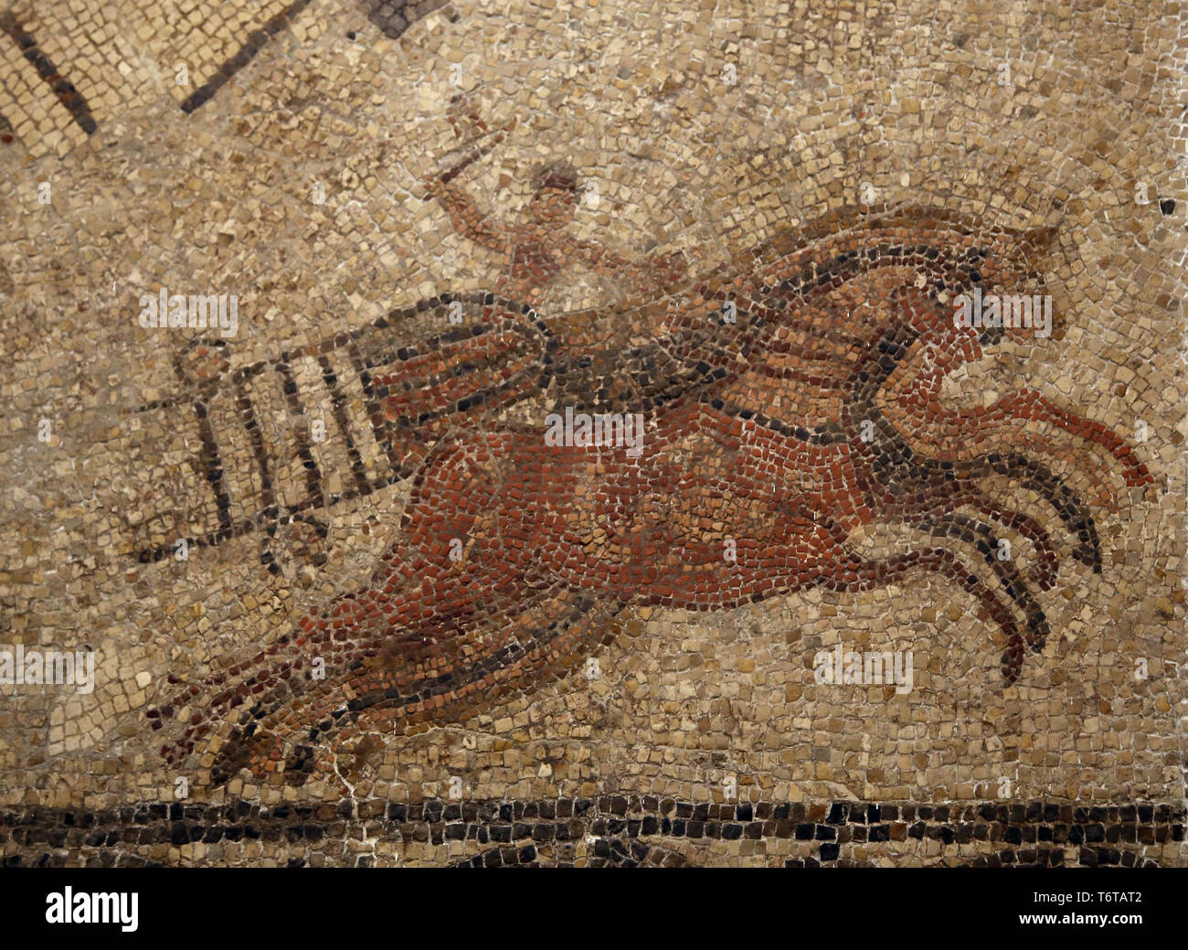 Roman chariot race in the circus. Mosaic. Detail. Paradas, Andalusia, Spain. 3rd-4th cent. Archaeological Museum of Seville. Spain. Stock Photo