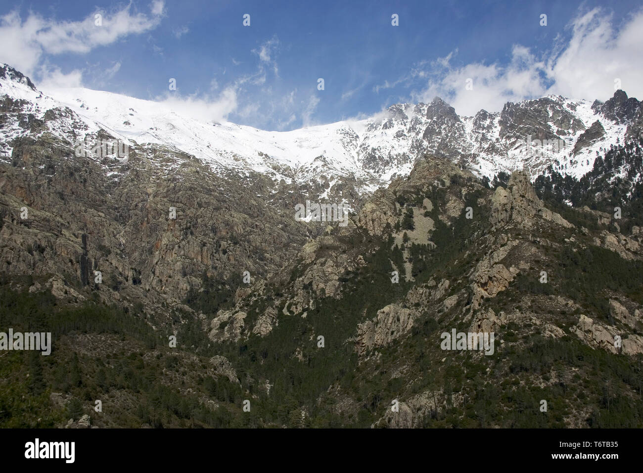 Snow capped ridge of Monte Cardu Corsica France Stock Photo - Alamy
