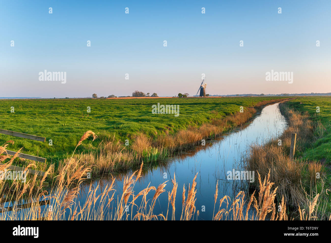 Mutton's Drainage Mill at Halvergate on Berney Marshes on the Norfolk Broads, also called Halvergate Mill Stock Photo