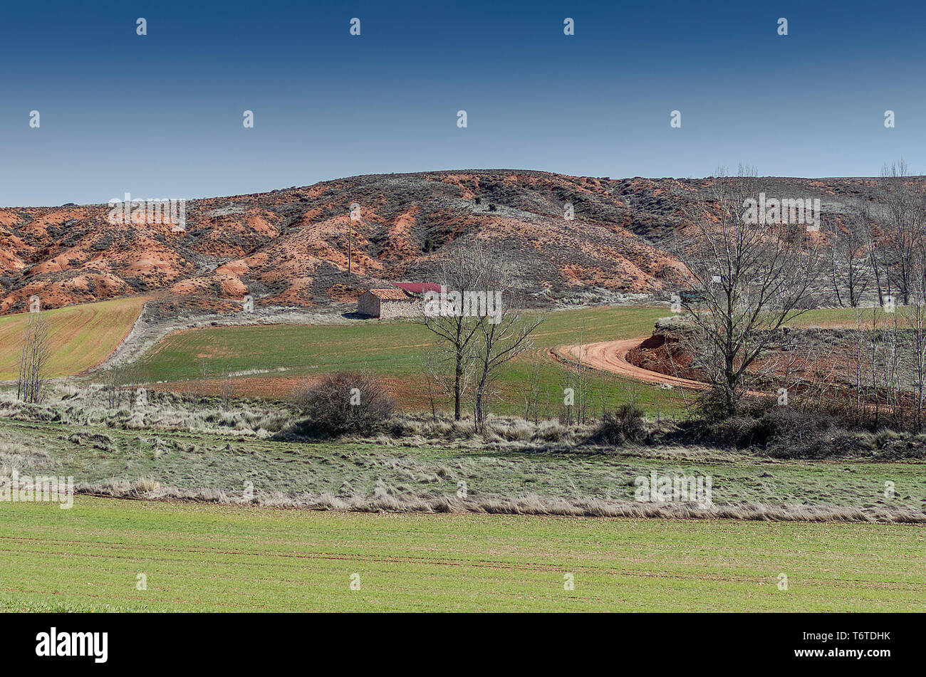 rural landscape in the vicinity of the medieval village of Ayllon. Segovia Spain Stock Photo