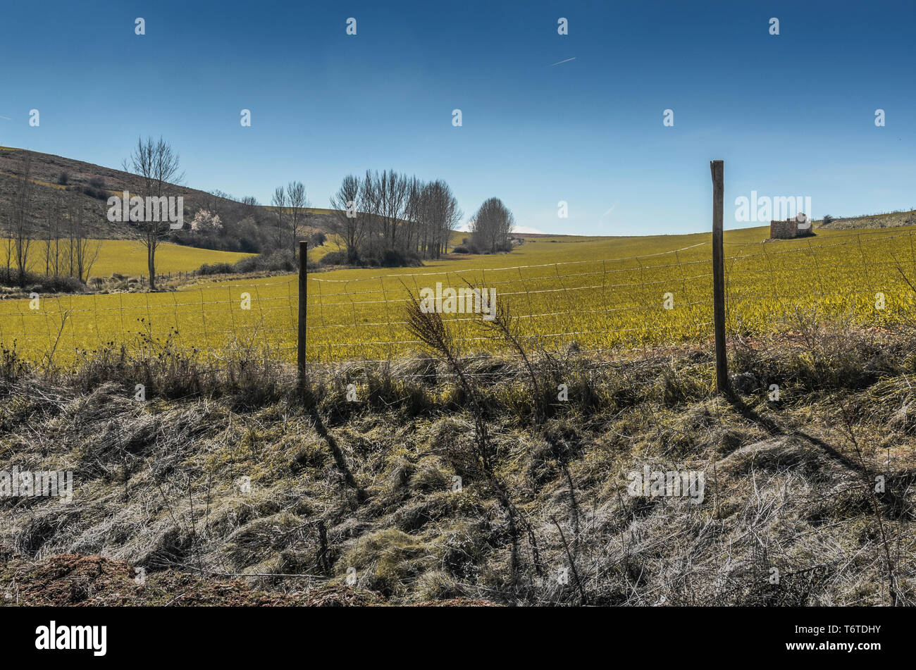 prairies and fenced fields in the vicinity of the ayllon village. segovia Spain Stock Photo