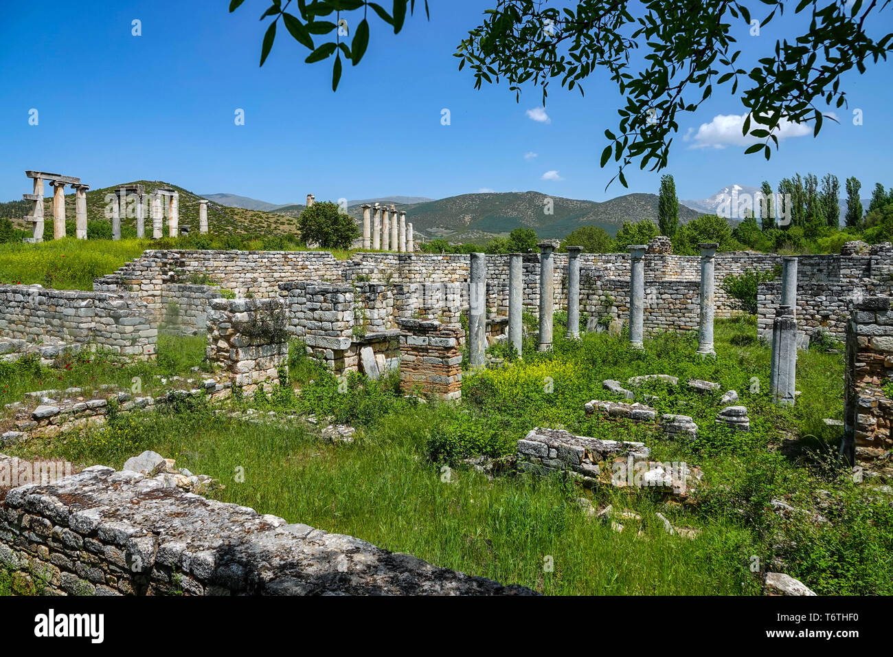 Temple of Aphrodite, Aphrodisias Roman remains, UNESCO world heritage site, Western Turkey Stock Photo
