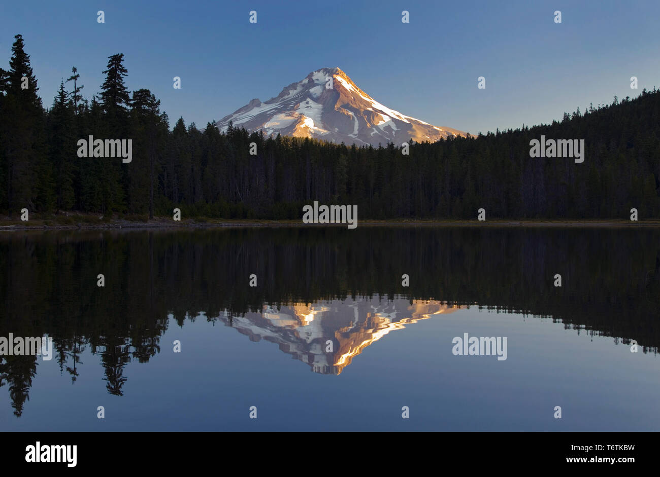 Frog Lake with Mt. Hood, Oregon, USA Stock Photo Alamy
