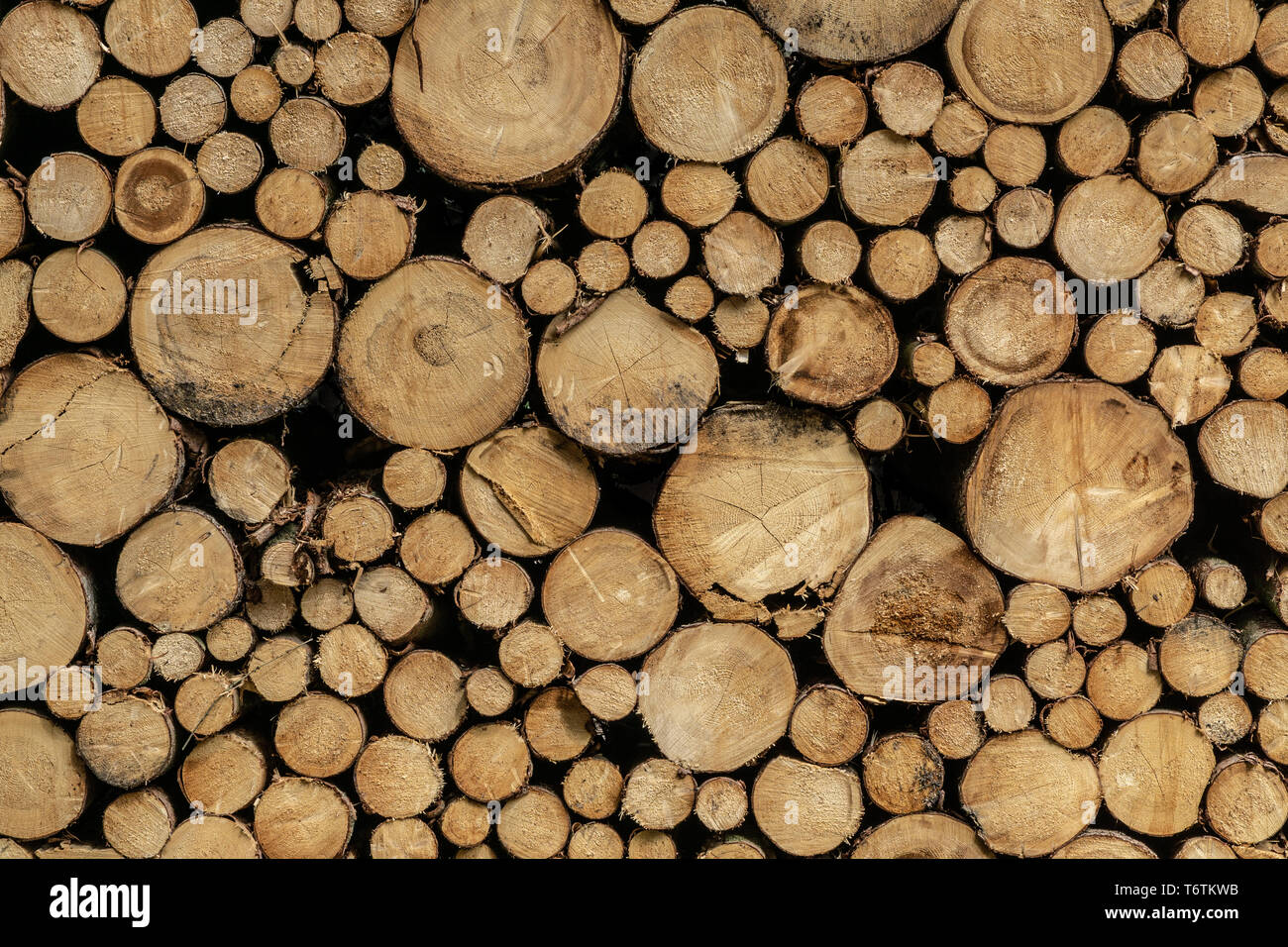 Stack of sawn logs. Natural wooden decor background. Stock Photo