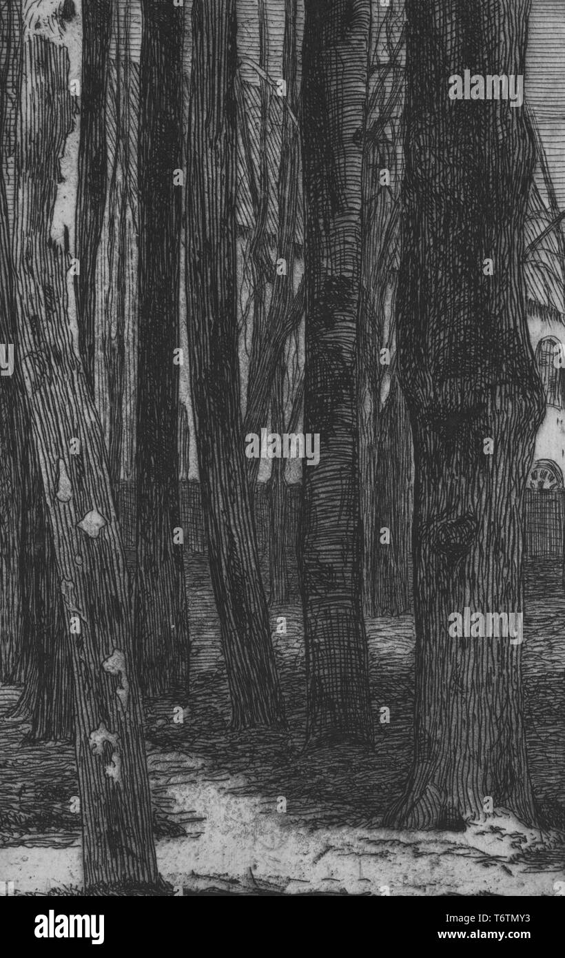 Black and white etching depicting a forest scene, with several tall, darkly hatched tree trunks in the foreground, and the sliver of a house visible in the right background; titled 'Gros troncs d'arbres disposes regulierement.', 1867. (Large Trunks of Trees Arranged Regularly.); numbered and signed by the illustrator Felix Bracquemond. From the New York Public Library. () Stock Photo
