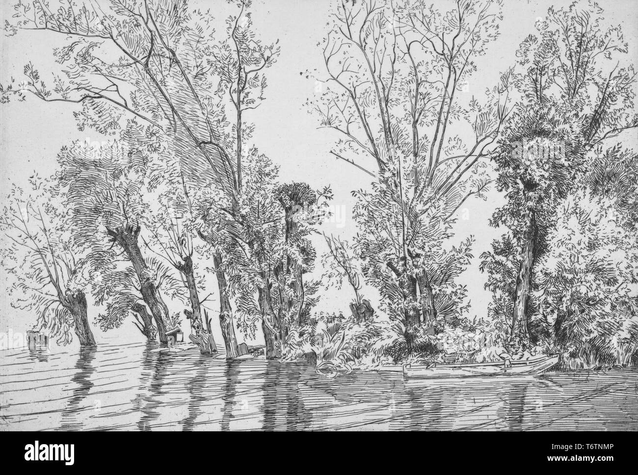 Black and white etching depicting a riverscape with a small boat moored in the right foreground, and sparsely foliated willow trees lining the bank in the background; titled 'Les saules des Mottiaux' (Willows of Mottiaux); numbered and signed, by the illustrator Felix Bracquemond, 1867. From the New York Public Library. () Stock Photo
