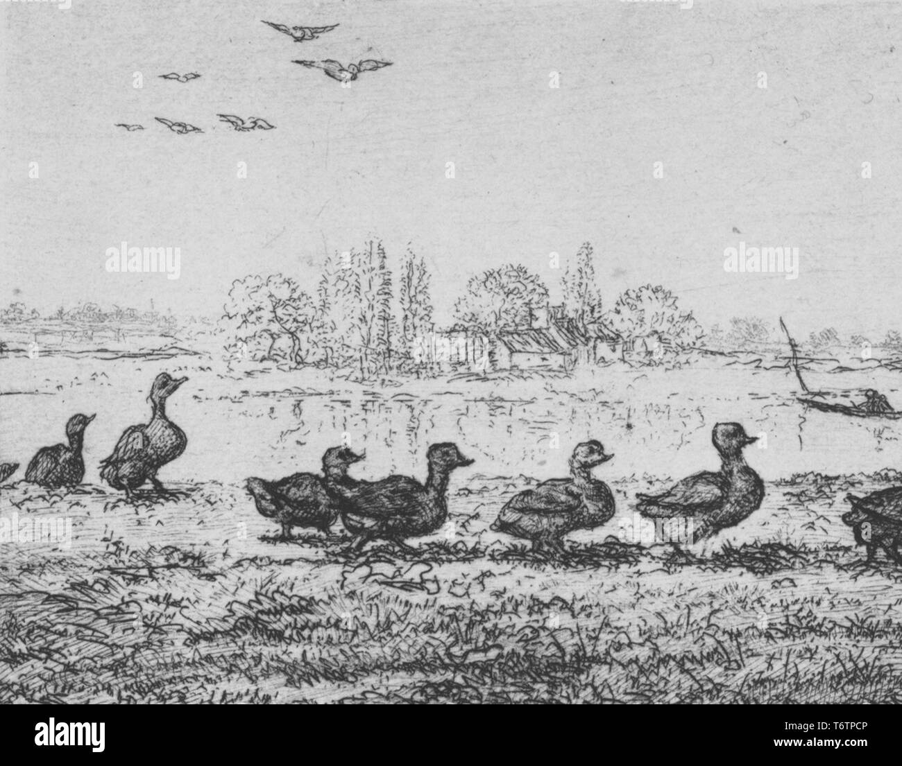 River Bank Clipart Black And White