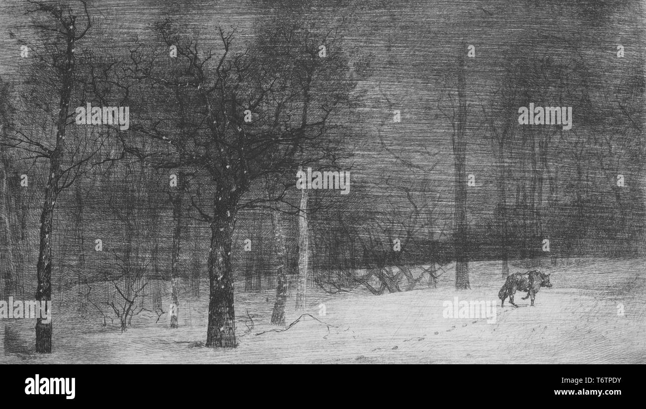 Black and white etching depicting a lightly forested, winter landscape, with a lone wolf walking away from the viewer, leaving a diagonal trail of footprints in the snow behind him; titled 'Hiver (ou Le loup dans la neige)' (Winter, or The Wolf in the Snow); signed and numbered by the illustrator Felix Bracquemond, 1867. From the New York Public Library. () Stock Photo