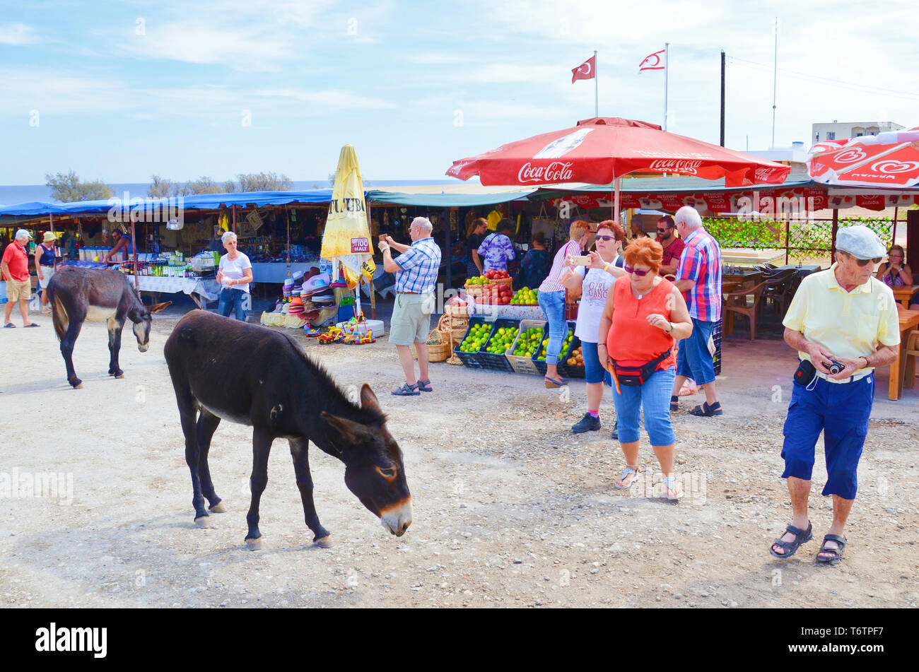 Dipkarpaz, Rizokarpaso, Karpas Peninsula, Turkish Northern Cyprus - Oct 3rd 2018: Older tourists taking pictures of wild donkeys on a street market. The animals are local tourist attraction. Stock Photo