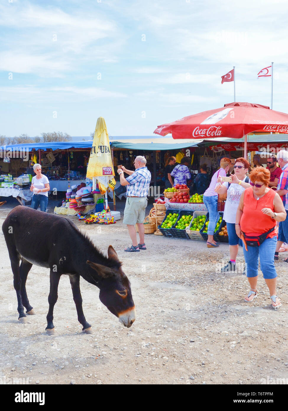 Dipkarpaz, Turkish Northern Cyprus - Oct 3rd 2018: Wild donkey on the outdoor fruit market. Tourists are taking pictures of the animal with the phone. Market stands in the background. Stock Photo