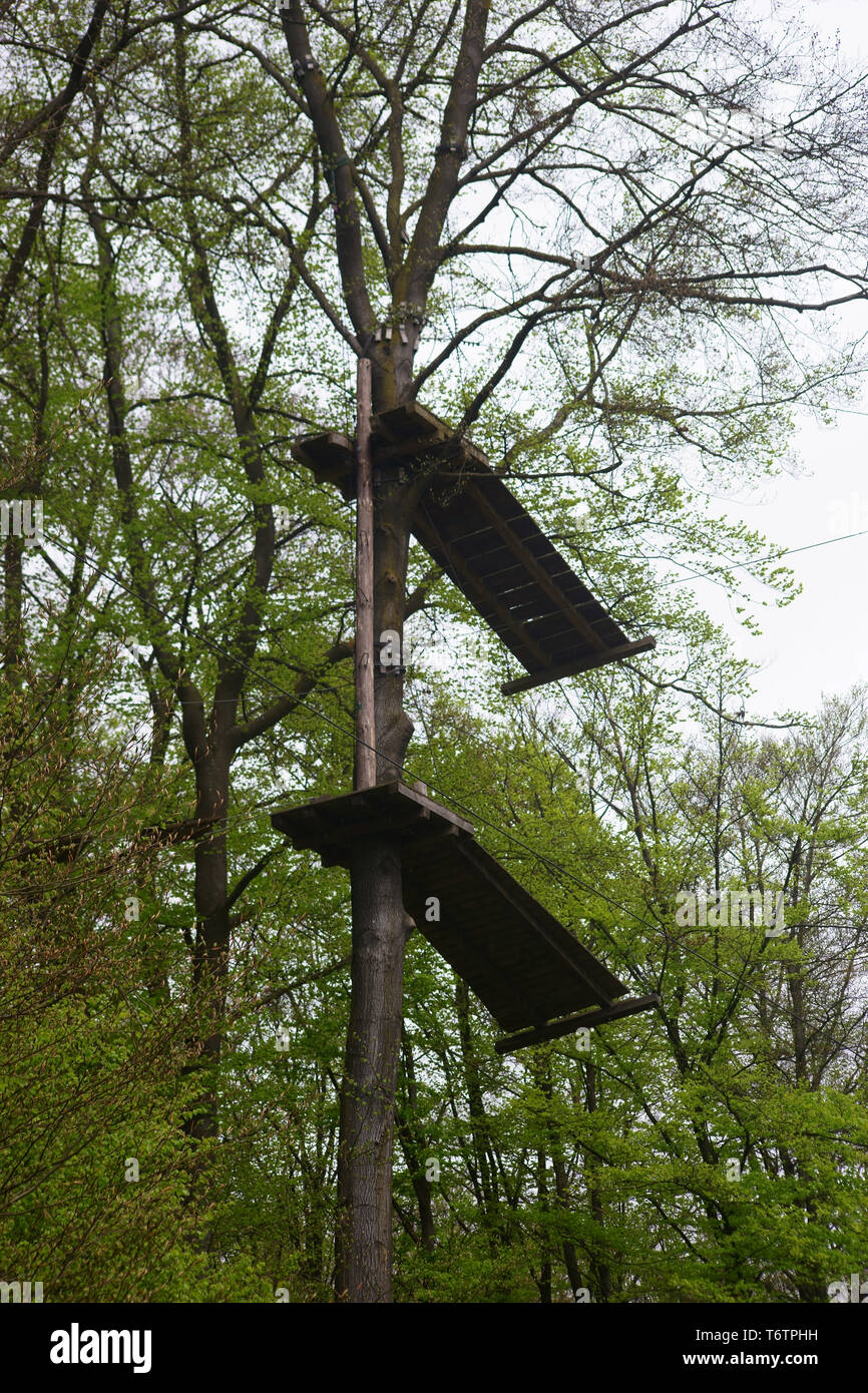 An obstacle course in a climbing forest with two wooden platforms in the treetop. Stock Photo