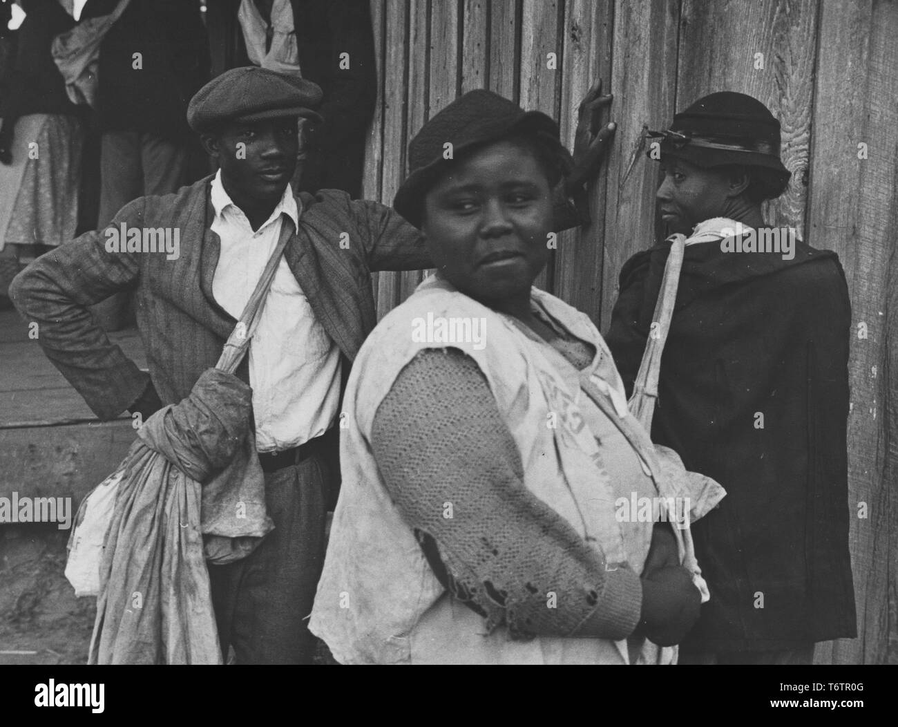 Black cotton pickers hires stock photography and images Alamy
