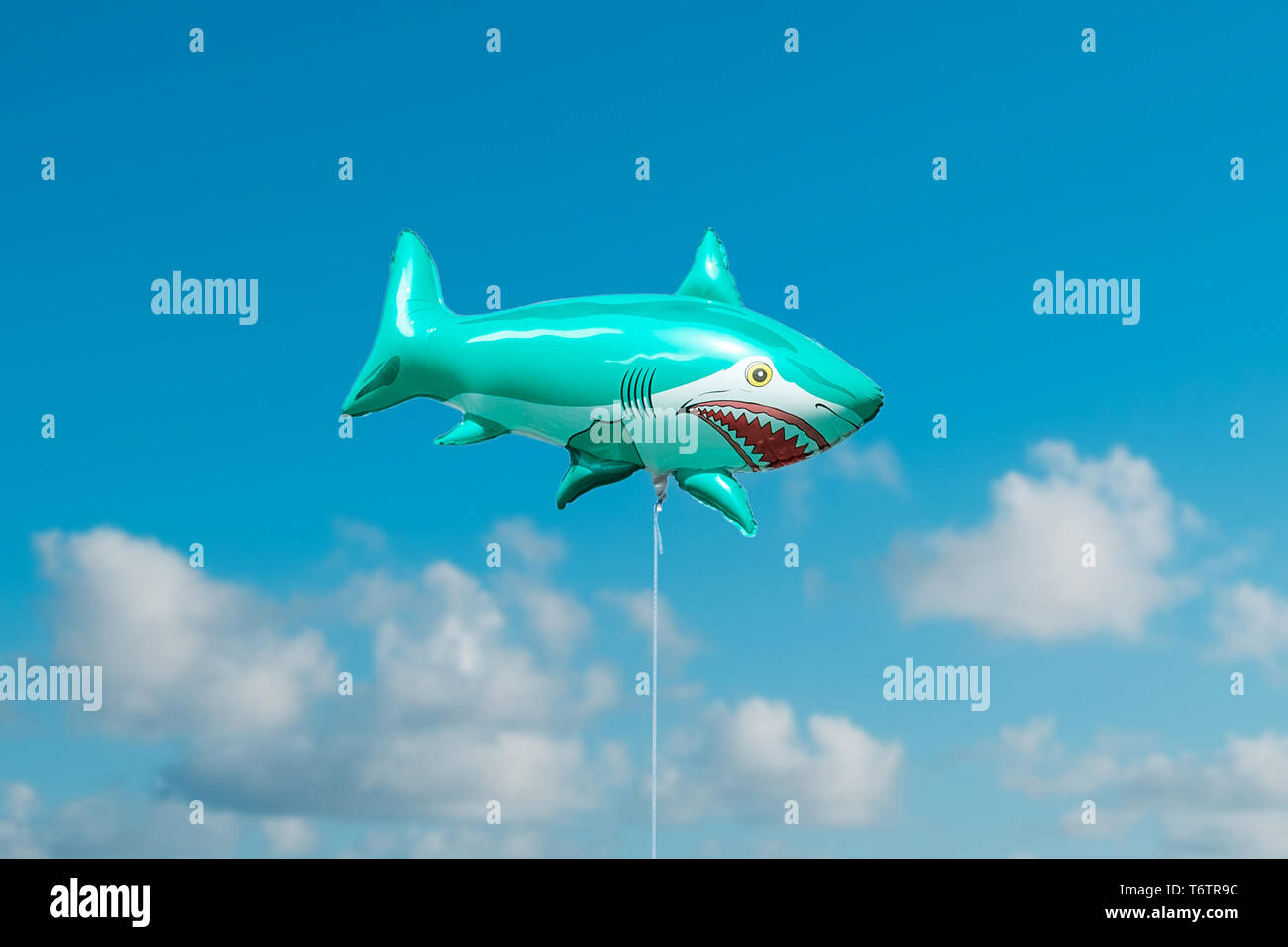 Cute shark cartoon animal hi-res stock photography and images - Alamy