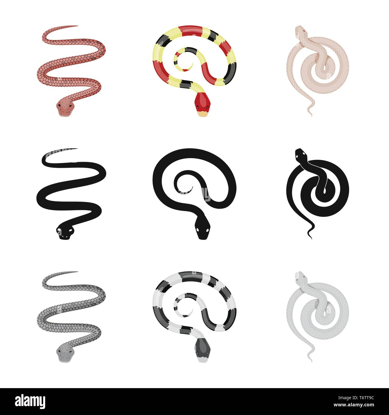 snake,viper,tail,coral,white,spiral,red,forest,black,leather,creeping ...