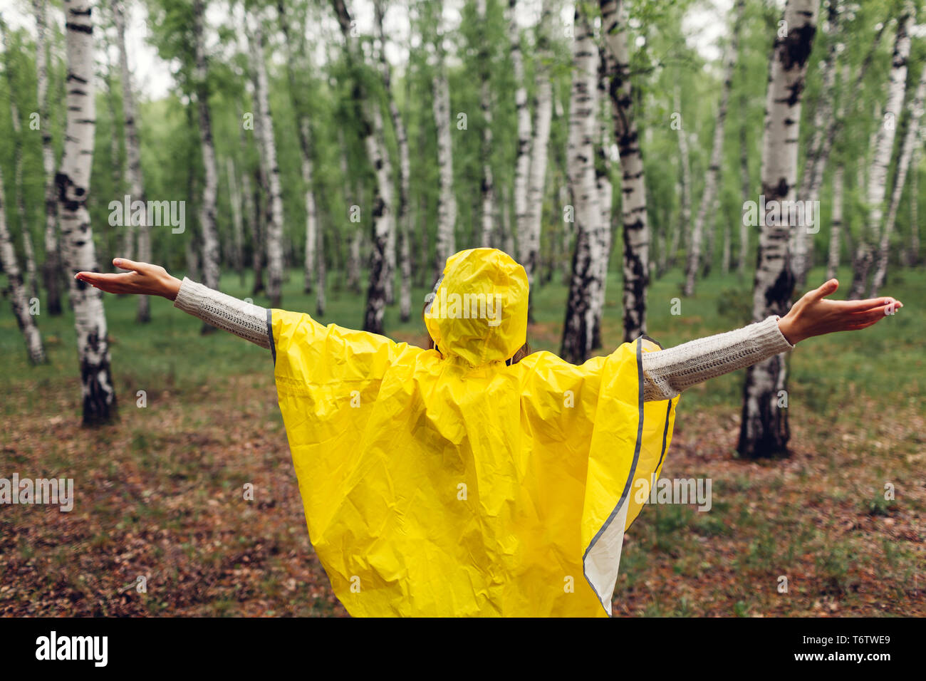 Happy young woman in yellow raincoat walking in spring forest under rain and having fun raising arms. Enjoying life Stock Photo