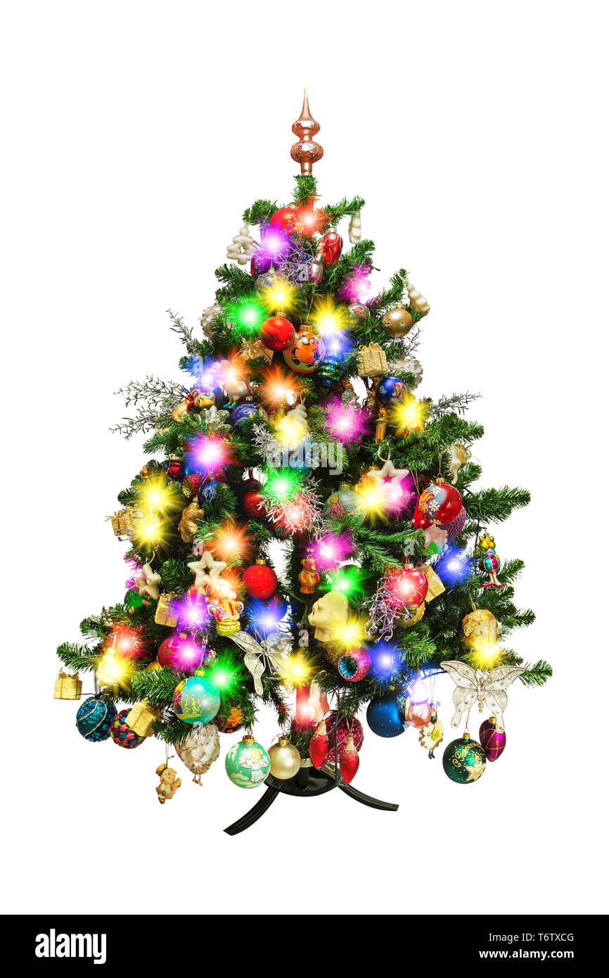 Bow decorated tree hi-res stock photography and images - Alamy