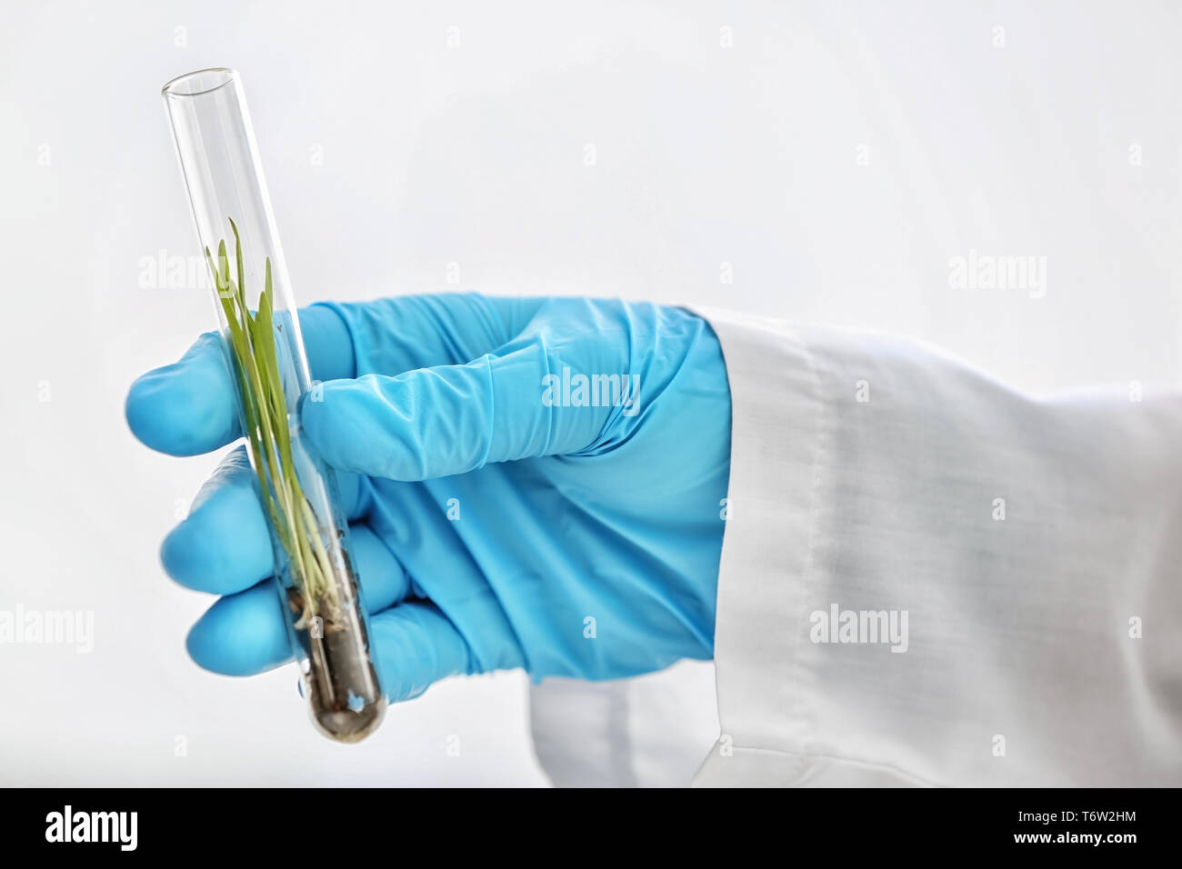 Scientist holding test tube with plant on white background Stock Photo ...