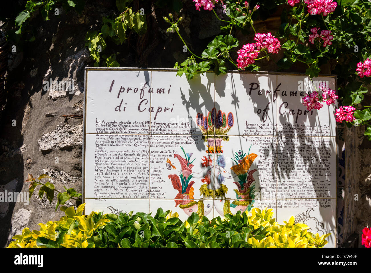 Perfumes of Capri made from wild carnations in Italy Stock Photo - Alamy