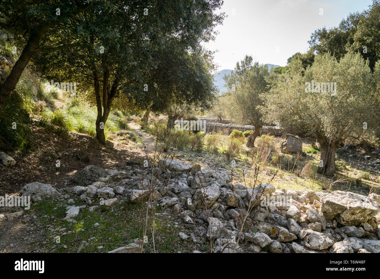 On the GR 221. The long distance path over the Serra de Tramuntana ...