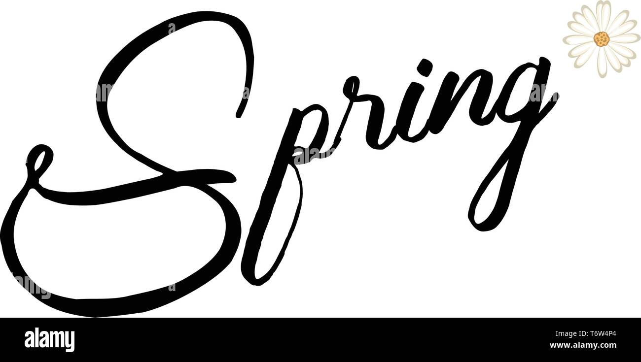 Spring text design, new spring collection, vector illustration Stock ...